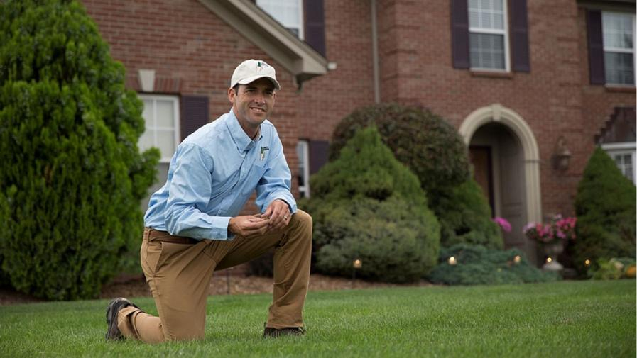 Cover photo of Lawn Doctor of Bakersfield